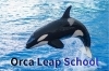 「Orca Leap School」Orca Leap（オルカリープ）が目指す生きる力を伸ばす学び