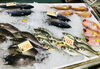 「魚魚市場鮮魚コーナーおすすめは「イサキ」です♪」