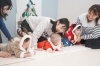 「chapty -baby time-」枚方市のベビーマッサージ教室 chapty