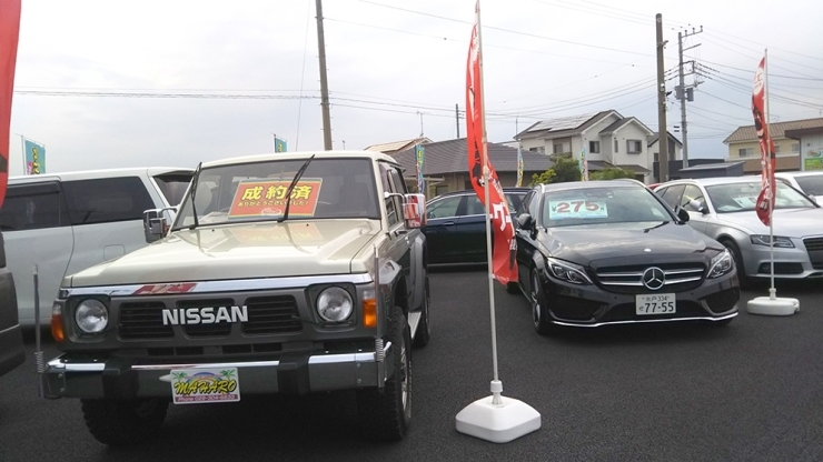 ご希望の車をお探しします！「～覚悟の時～というドキュメンタリー番組に代表が取り上げられました！【水戸市の中古車販売 (株)マハロも一緒に営業中★】くるみ代行です♪」