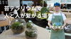 「あまの苔屋さん」【JR尼崎駅直結】苔テラリウムで、人と人がつながる場を