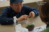 「あまの苔屋さん」