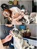 専属トリマーとしてわんちゃんと向き合う時間を大切にしています「dogsalon ricca」
