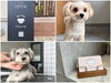 「dogsalon ricca」関市で小型犬トリミングならドッグサロンricca（リッカ）☆