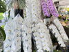 「株式会社 花幸花店」