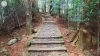 熊野古道参詣道の画像