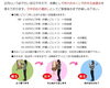 お年玉抽選会２「令和4年 壬寅 初詣のご案内④ ～皆が大好きなお年玉♪　USJや温泉旅行、クルージングを引き当てられる強運の持ち主は今年はいるかな？～」
