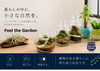 「Feel the Garden あまがさき店」初心者も安心。自然と暮らすインドアグリーン専門店