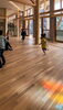 自然の風と木に包まれ、子どもたちが伸び伸びと遊べる園舎に「株式会社ア・シード建築設計」