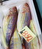 「西海物産館・魚魚市場鮮魚コーナーおすすめは「マングローブガニ入荷しました！」です♪」