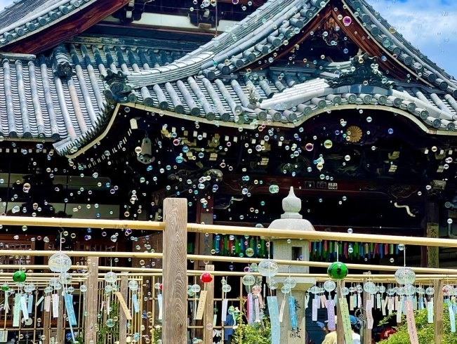 おふさ観音の夜更まつりが近づいて来ました 高野山真言宗 別格本山 おふさ観音のニュース まいぷれ 橿原 おふさ観音の夜更まつりが近づいて来ました 高野山真言宗 別格本山 おふさ観音のニュース まいぷれ 橿原