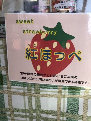 「大野果樹園さんのイチゴがおすすめです！」