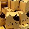 ねこのギフト ミニスコーン4こ入り