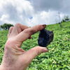 黒曜石もいっぱい見られるコースです💎「猛暑を避けて高原登山⛰️☀️ 【茅野市/整体×運動で健康アップ】」