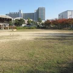 【大開】大開西公園