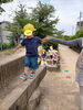 順番に～！慎重に～！一本橋！！！「楽しいおさんぽ！【交野市・小規模保育園】」