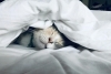 寝具選びは難しいですよね。自分の枕はタオルで調整。「睡眠習慣」