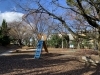 「◇子連れお出かけスポット情報◇ 〜京都府立伏見港公園〜」