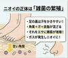 菌の繁殖を抑え清潔な足へ「その足のニオイ、実は「角質」が原因かも…？」