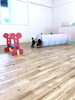 グーちゃん　ひたすらたまごと戯れ　笑「ましゅまろ幼稚園　（╹◡╹）」