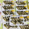 「魚魚市場鮮魚コーナーおすすめは「エビスダイ・マテ貝」です♪」