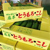 「岩手県北上市稲瀬地区の「とうもろこし」」