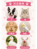 多種多様な動物に対応「ペットシッターだいす」