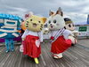「全国の人気キャラが集結✨公式キャラクター「シロちゃん」、呉ご当地キャラ祭で大活躍！🐕」