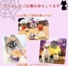 「ハロウィンフォトコンテスト開催♪」