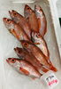 「魚魚市場鮮魚コーナーおすすめは「バーベキューセットよりどり3点で¥2500‼︎」です♪」