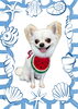 「Dog salon mofu mofu　余市町」