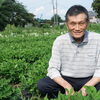 1985年から続ける、農薬を使わない野菜づくりへの想い
