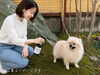 愛犬の気になるニオイにこれ一本で手軽にケアできます♪「Natural Shop uraraka」