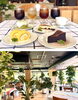 緑に囲まれた癒やしのカフェ時間♪「アトリエグリーンシャトーおだか」