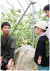 「ゆめろんfarm」