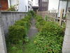 ②植木に草ツルが覆ってしまい・・管理が大変でした「『草刈りもお任せください』お仕事紹介❕❕　 松江市」