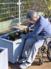綺麗に植えてくださり感謝です(👉ﾟヮﾟ)👉「『屋上庭園』最新の状態に更新しました。🌼お花の植替え🪴で～す。」