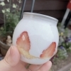 苺ケーキ缶
