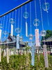 「本日の境内の様子です」