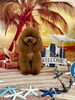 仁姜くん「サンセットビーチ🏖️」