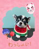 「Dog salon mofu mofu　余市町」