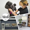 「ペットサロンnaity.福町店」大型犬も大歓迎♪　実践で学べるトリミングスクール＆サロン