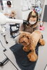 経験豊富なトリマーが、愛犬の魅力を引き出すスタイルをご提案♪「ペットサロンnaity.福町店」