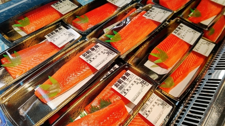 養殖銀鮭 生のお刺身「レアなお魚！釧路育ちの養殖銀鮭！」