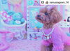「カップケーキニットがとってもお似合いで可愛いです😍💕」