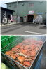 「魚政マリンスポット かにべん」