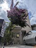 「りらく鍼灸院 あろは」