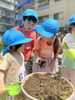 教えて、見守って♪　優しく寄り添う子どもたちの姿「あおいとり幼児園」