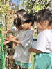 そっとふれて観察する、自然に親しむ子どもたちの様子「あおいとり幼児園」