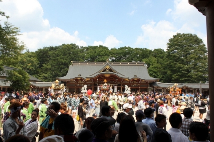 勇壮な夏祭り 立川諏訪神社例大祭 まいぷレンジャー まいぷれ 立川市